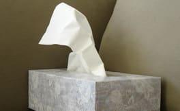 Managing Allergies to Cats