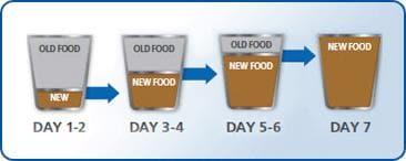 7-day transition schedule
