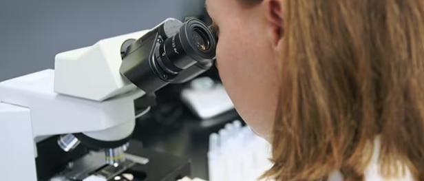 นักวิจัยกำลังใช้กล้องจุลทรรศน์