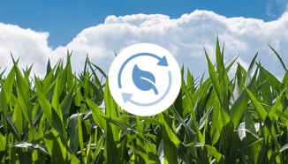 ทุ่งหญ้าที่มีไอคอนการจัดหาอย่างยั่งยืนอยู่ด้านบน