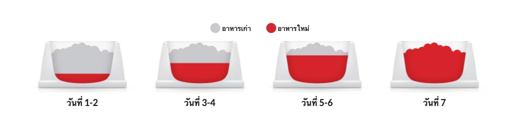 Hill's food transition